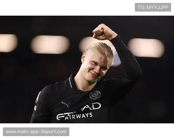 哈兰德连场高光,哈兰德精选